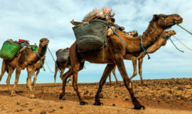 3 Day Desert Trip from Marrakech to Erg Chegaga